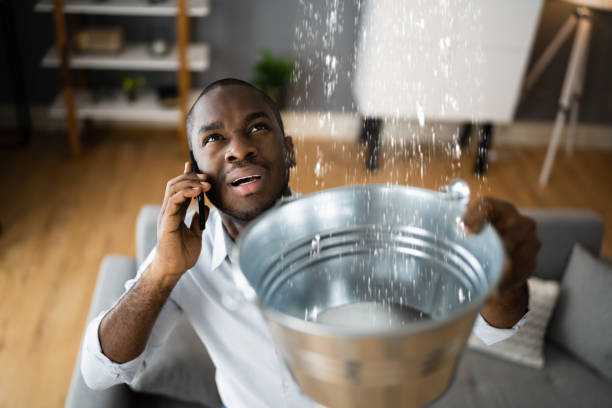 Best Basement water damage restoration  in Fox Farm College, WY
