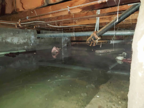 Professional Water damage restoration in WY