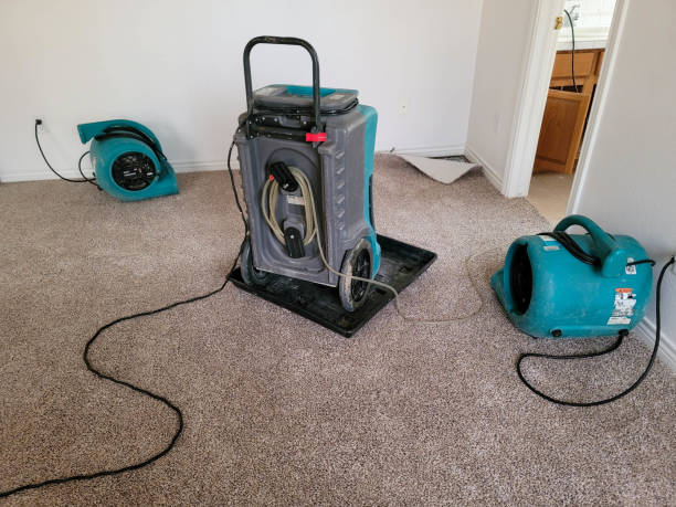 Best Carpet water damage restoration  in Fox Farm College, WY