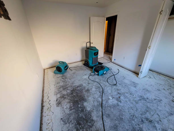 Best 24-hour water damage restoration  in Fox Farm College, WY