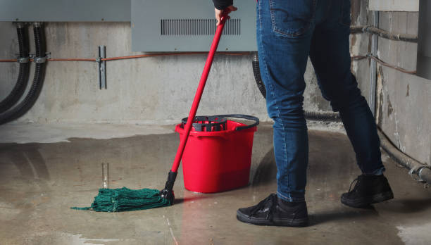 Best Mold removal after water damage  in Fox Farm College, WY