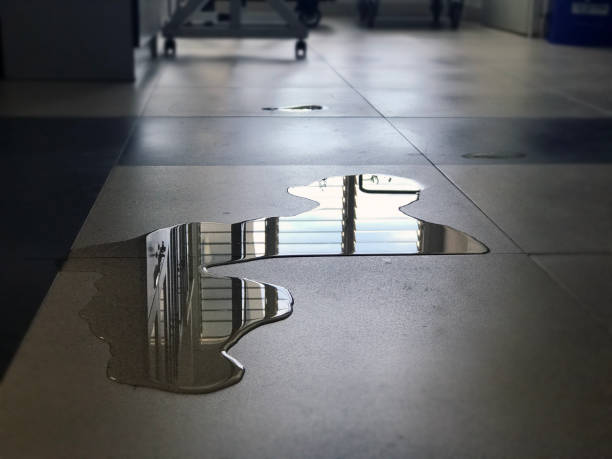 Best Water damage restoration services  in Fox Farm College, WY