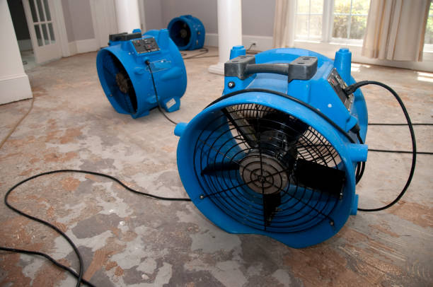 Fire Damage Restoration in WY