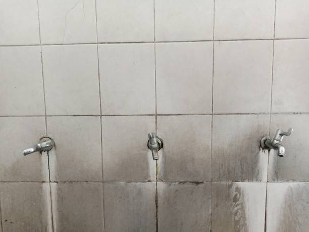 Best Flood damage cleanup  in Fox Farm College, WY