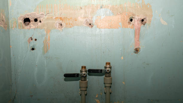Best Local water damage restoration  in Fox Farm College, WY