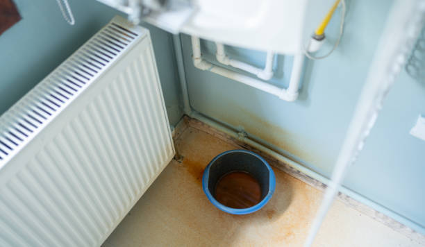 Best Professional water damage repair  in Fox Farm College, WY