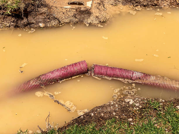 Best Emergency water damage restoration  in Fox Farm College, WY