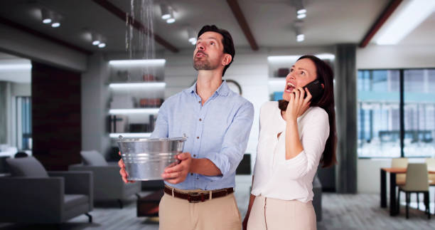 Best Water damage mitigation services  in Fox Farm College, WY