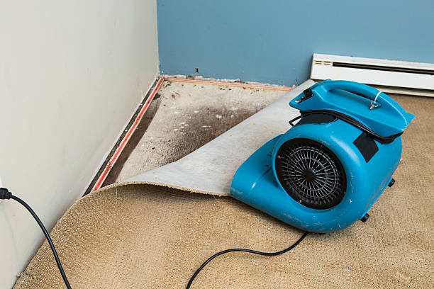 Best Flooded house restoration  in Fox Farm College, WY